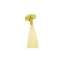 60 cm Hot Fusion-haarextensies 60# Platina blond - | Fashiongirl
