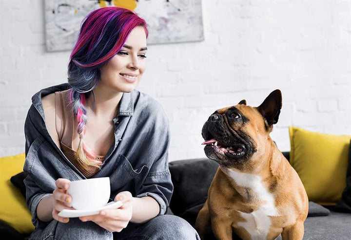 A smiling woman with vibrant pink and blue hair created using UNIQs Hair chalk - Vibrant Hair Chalk Color Pen set (12 colours) holds a white coffee cup, sitting on a couch with yellow pillows and a happy brown French Bulldog.