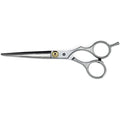 Professionele kappersschaar - Haarstylingtool | Fashiongirl