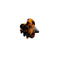 SOHO Hara Mini Hair Claw - Tortoise - Haaraccessoires