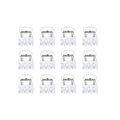 Tien SOHO Lucca Mini Hair Claws - Transparent van SOHO zijn in vier rijen gerangschikt op een effen witte achtergrond en lijken op orthodontische beugels met witte beugels en metalen draden of netjes neergelegde transparante haarspeldjes.