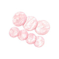 SOHO Opal Haarspeldjes - Roze - | Fashiongirl